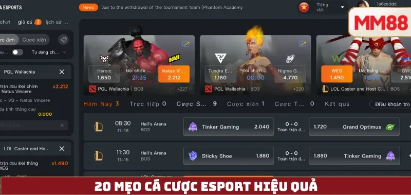 Mẹo Cá Cược eSport Hiệu Quả – Chiến Lược, Quản Lý Vốn & Chọn Trang Cá Cược Uy Tín Cùng MM88 3 20 Mẹo Cá Cược eSport Hiệu Quả